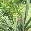 faceyourfaces's Avatar