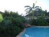 TTP_Fred_s_Backyard.JPG