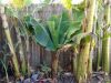 DSC00745.JPG