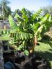November_2010_006.jpg