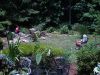 DSC00849.JPG