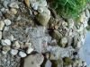 DSC020072.JPG