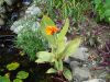 DSC02408.JPG