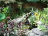 DSC02412.JPG