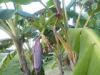 th_2012-08-11195103.jpg
