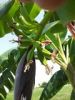 th_2012-08-12114716.jpg