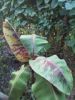 th_2012-10-18181317.jpg