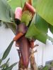IMG_2027-cavendish_2-14-16.JPG