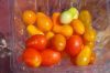 Cherry_Tomatoes_002.jpg