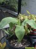DSC00096.JPG