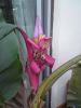 DSC00139.JPG