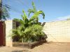 DSC00668.JPG