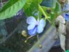 DSC01496.JPG