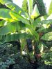 DSC018241.JPG