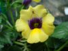DSC02735.JPG