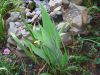 DSC030221.JPG