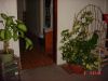 DSC09011.JPG