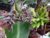 DSC09125.JPG