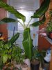 DSCF4191.JPG