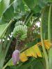 DSCN0718.JPG