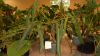DSCN2675.jpg