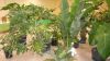 DSCN2678.jpg