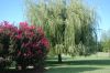 DSC_04280112.JPG