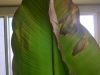 IMG-20120706-00033.jpg
