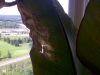 IMG-20120706-00034.jpg