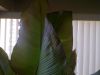 IMG-20120706-00035.jpg
