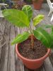 IMG_20110829_175540.jpg
