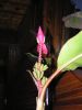 PICT0455.JPG