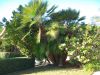 Picture_0019.jpg