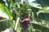 Picture_0046.jpg