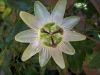 Picture_0674.jpg