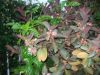 Picture_1174.jpg