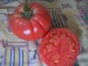 Picture_2072.jpg