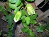 Picture_2971.jpg
