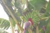 Picture_4341.jpg
