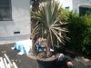Picture_754.jpg