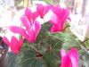 Picture_7581.jpg