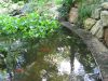 Pond_4953.jpg