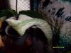 nanas_and_plants_001.JPG