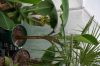 nanners_009.jpg