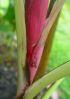DSC00237.JPG