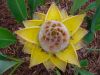 Early_May_2007_035.jpg