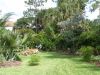 Backyard.JPG