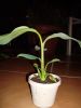 DSC00586.JPG