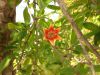 DSC01502.JPG