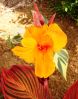 DSC02507.JPG
